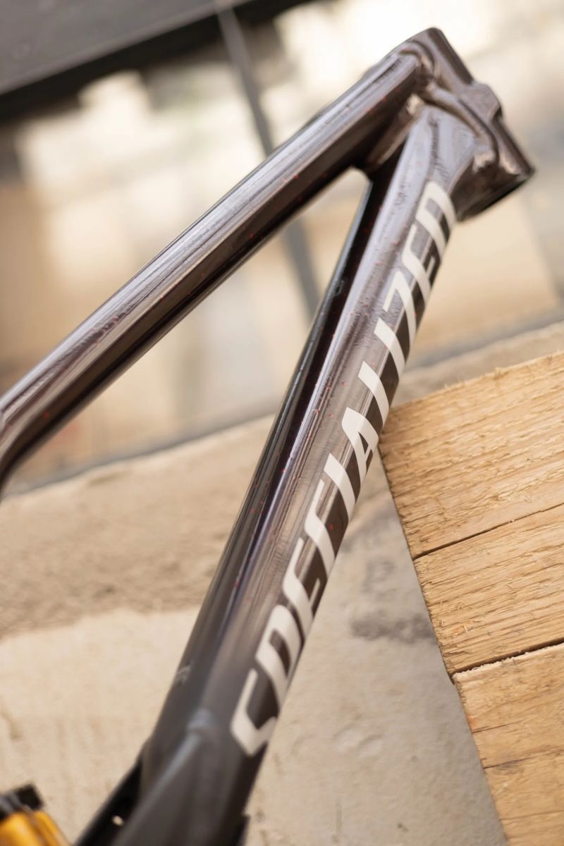 DH Rám Specialized Demo Race S2 – top stav, připravený na nový projekt!