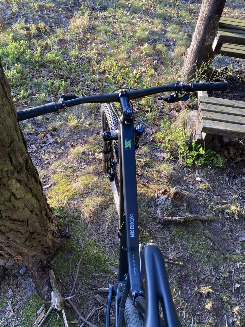 Silverback Superspeed 29