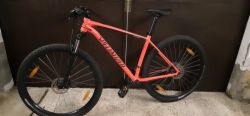 Specialized Rockhoper