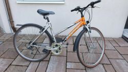 Leader Fox Picnic 46