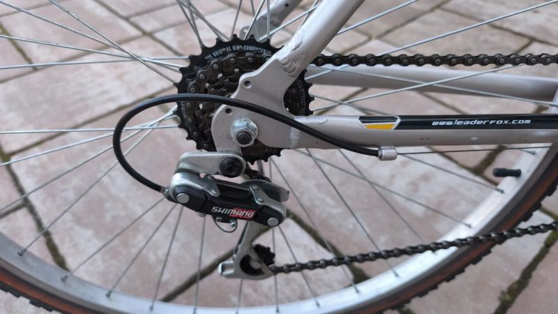 Leader Fox Picnic 46