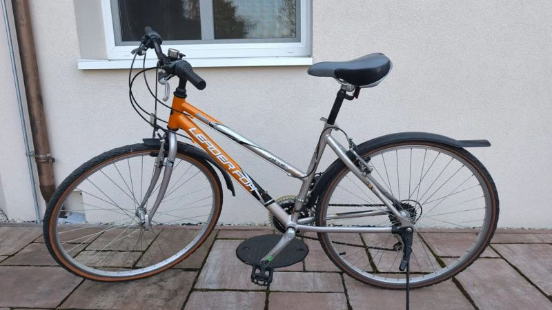 Leader Fox Picnic 46