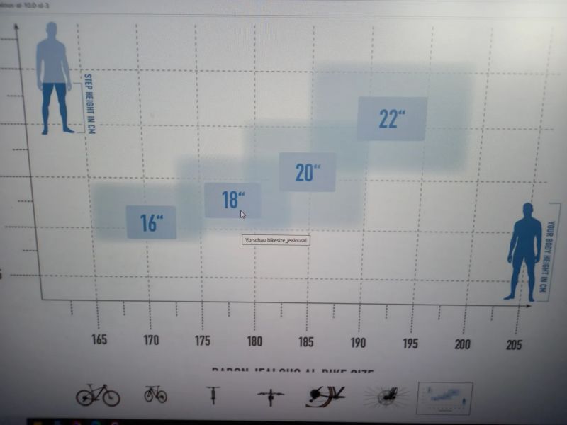 Radon Jealous Al 10.0 vel.M 