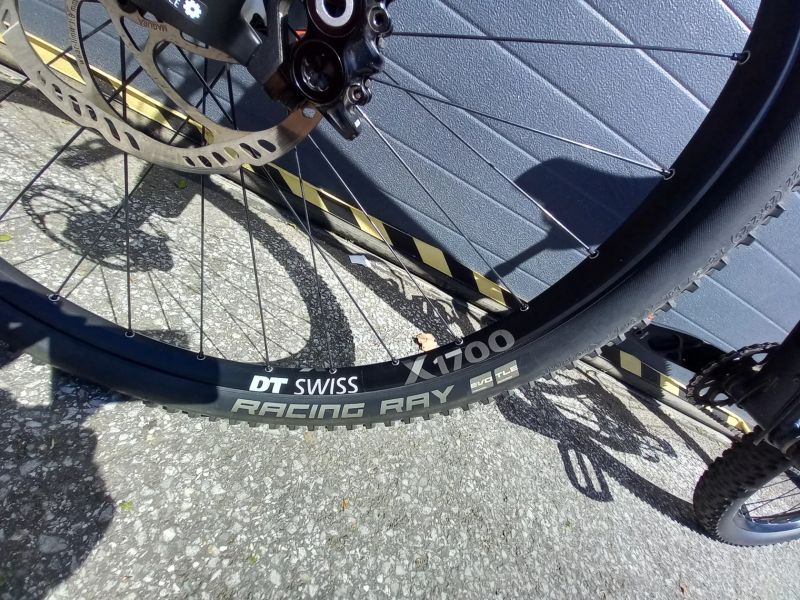 Radon Jealous Al 10.0 vel.M 