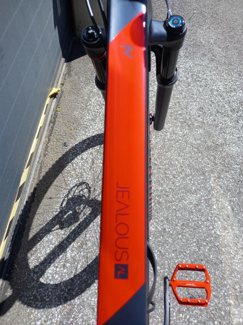 Radon Jealous Al 10.0 vel.M 