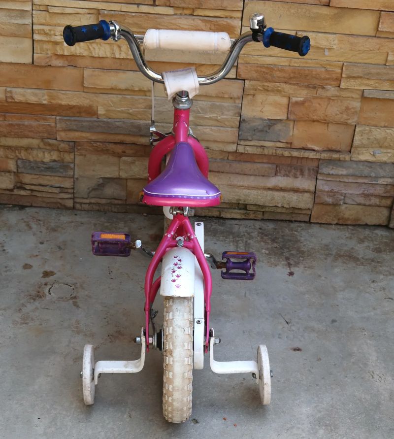 Dětské dívčí kolo Schwinn TIGRESS 12" Pink