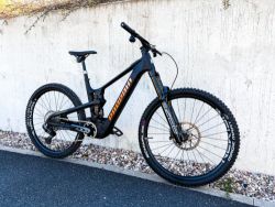 Propain Ekano CF 29” AXS