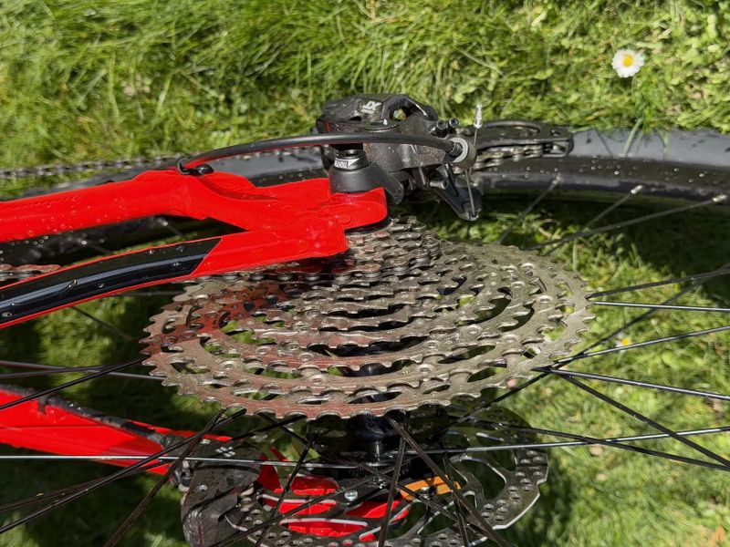 Kellys Gate 50 2024 S