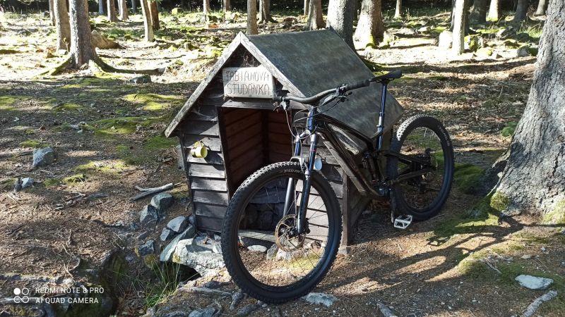 Trek Fuel EX-e 9.8 GX AXS