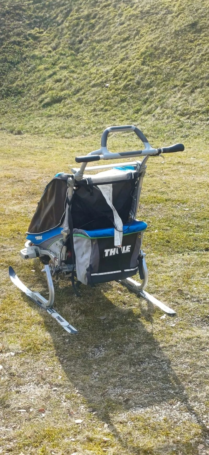 Thule chariot