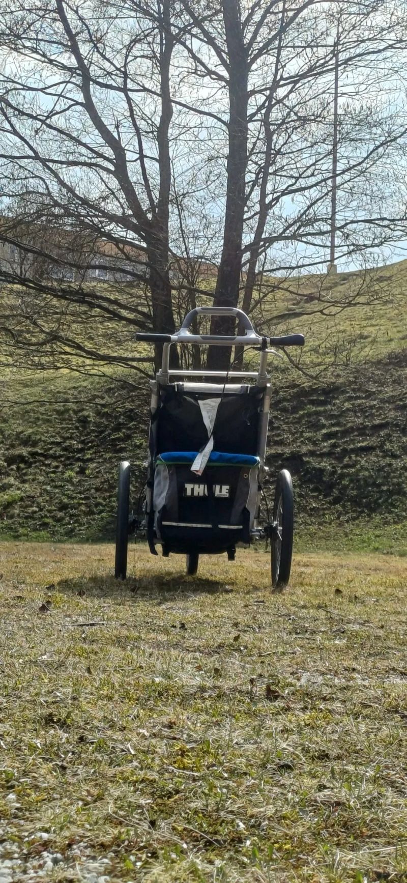 Thule chariot