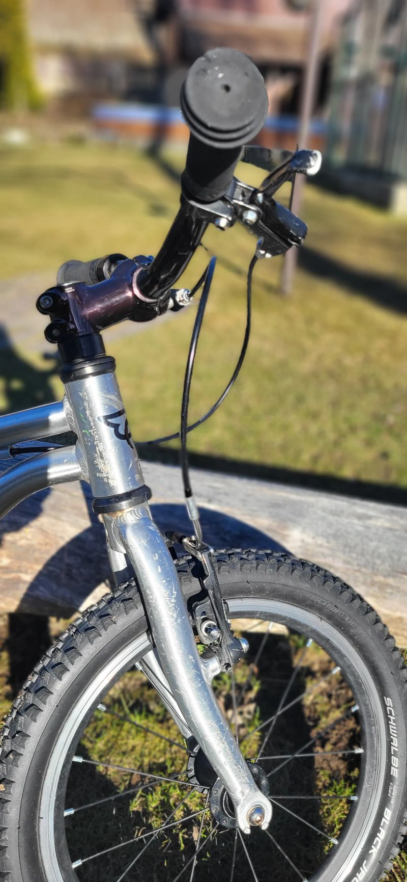 Early Rider Belter 16