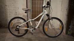 Specialized Hotrock 24