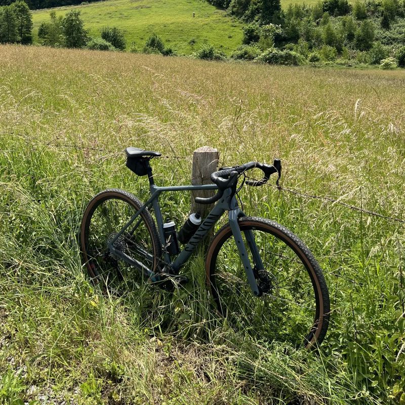 Grizl CF SL 8 1by Ekar