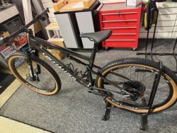 Specialized Epic Expert