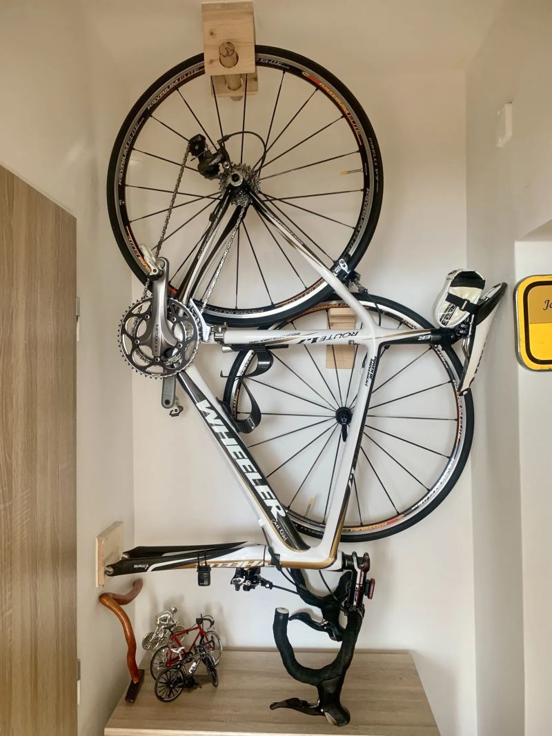 Wheeler Elitě Carbon Ultegra 7100