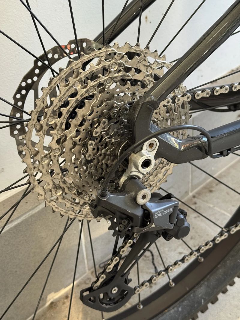 Qayron Spyro - vel. M