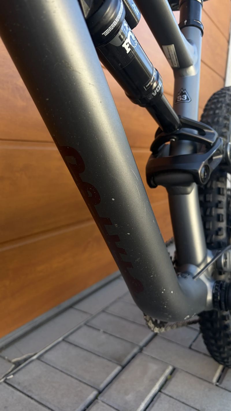 Specialized Status 160 S3