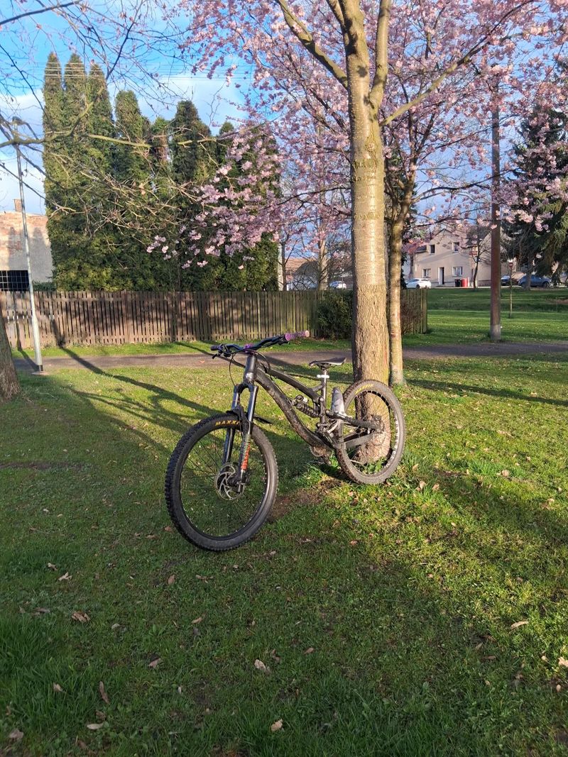 Author Author 2018 ninja fr