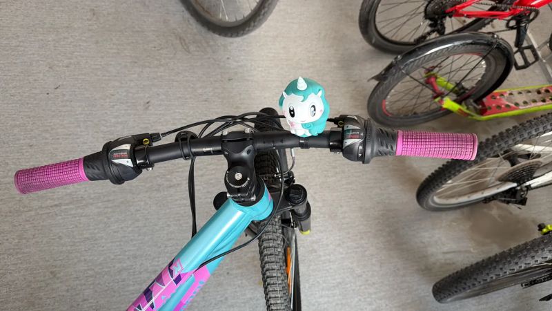 Bergamont Revox 24” - dívčí kolo