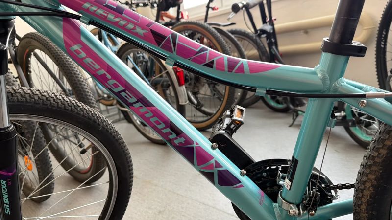 Bergamont Revox 24” - dívčí kolo