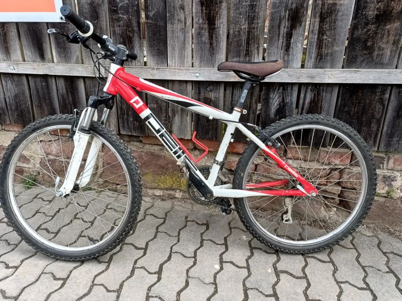 Pells Razzer 24 Replica