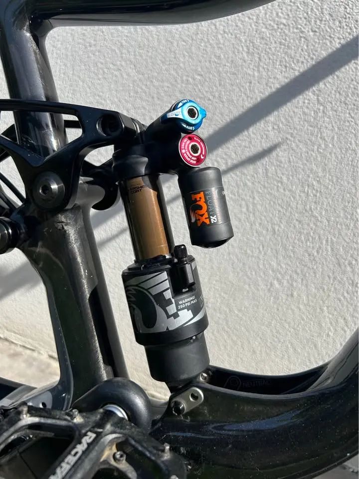 KNOLLY WARDEN CARBON 