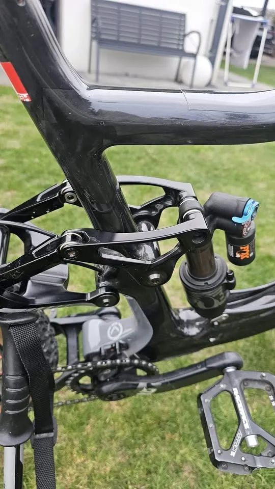 KNOLLY WARDEN CARBON 