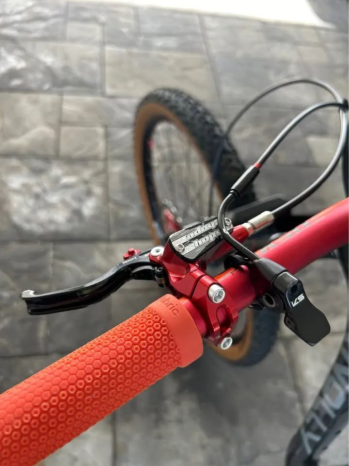 KNOLLY WARDEN CARBON 