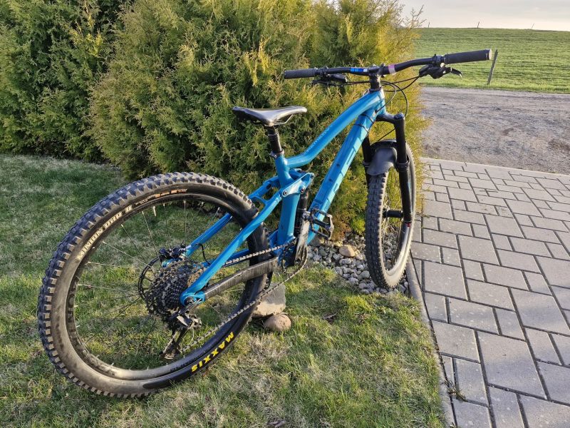 Trek Remedy 7