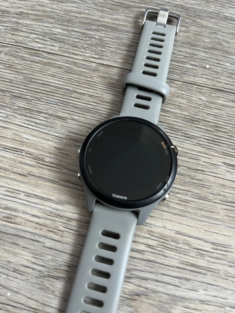 Chytré hodinky Garmin Forerunner 255s