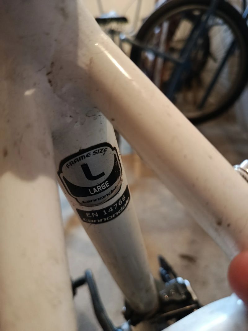 Cannondale 