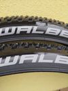 Schwalbe