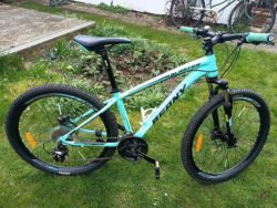 Beany 26" Blaster 260 XC