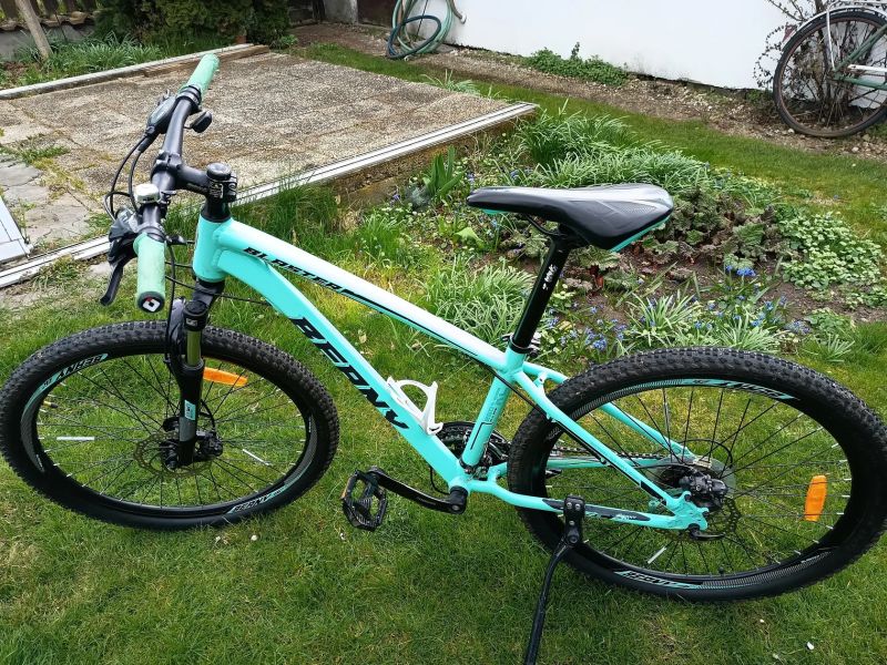 Beany 26" Blaster 260 XC