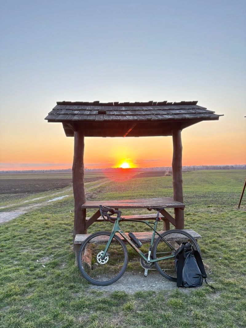 Lapierre LAPIERRE Pulsium 3.0 Disc - L/55 cm