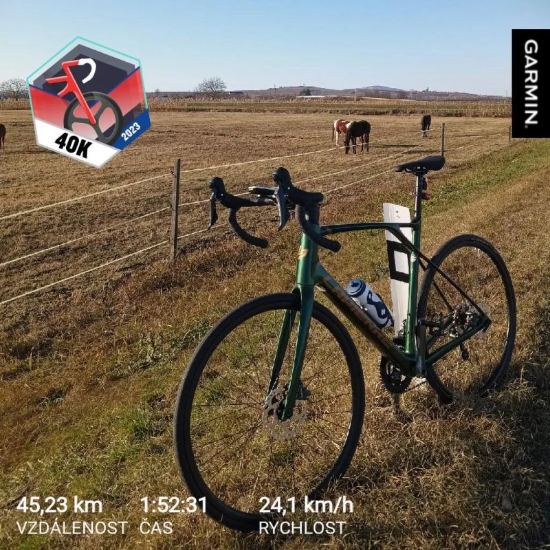 Lapierre LAPIERRE Pulsium 3.0 Disc - L/55 cm