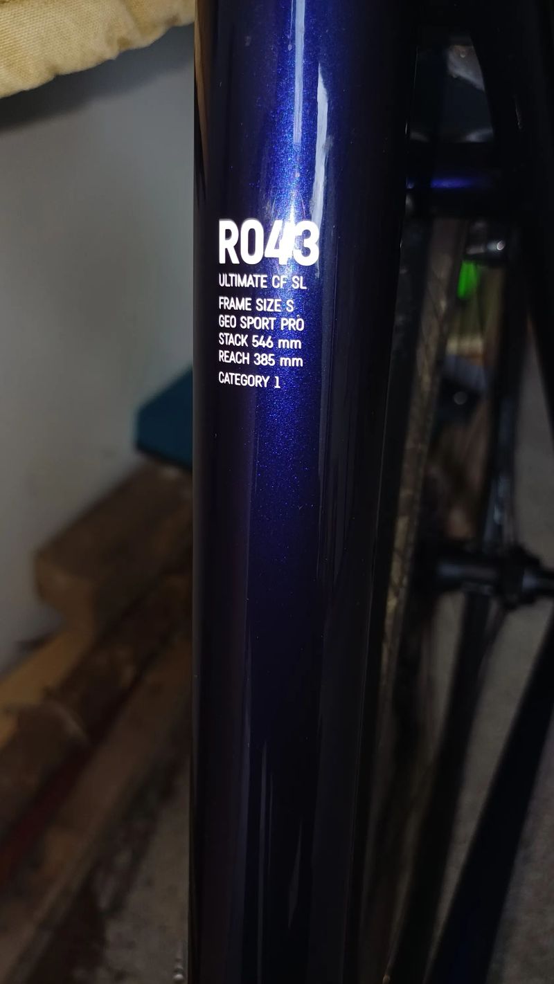 Canyon Ultimate CF SL 8.0 2019 / Ultegra / DT Swiss P1800 / vel. S