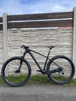 Carbon 29”