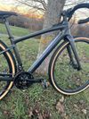 Specialized Diverge sport carbon