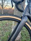Specialized Diverge sport carbon