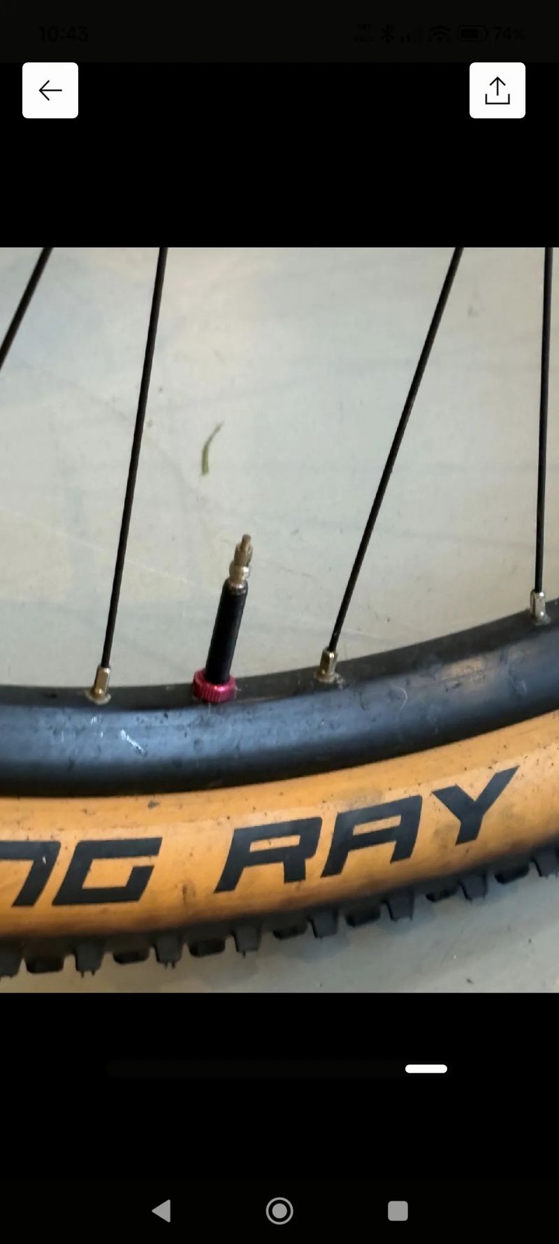 Scott Scale 925 2022