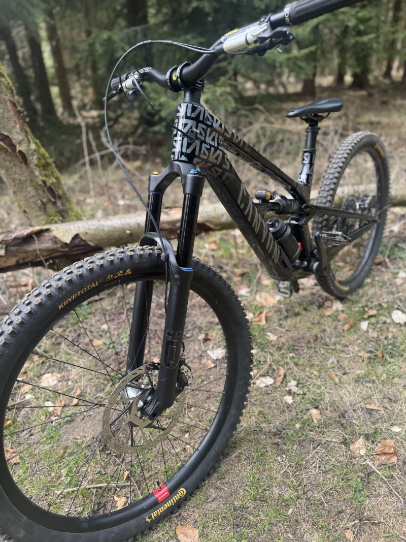 Canyon Spectral custom mullet