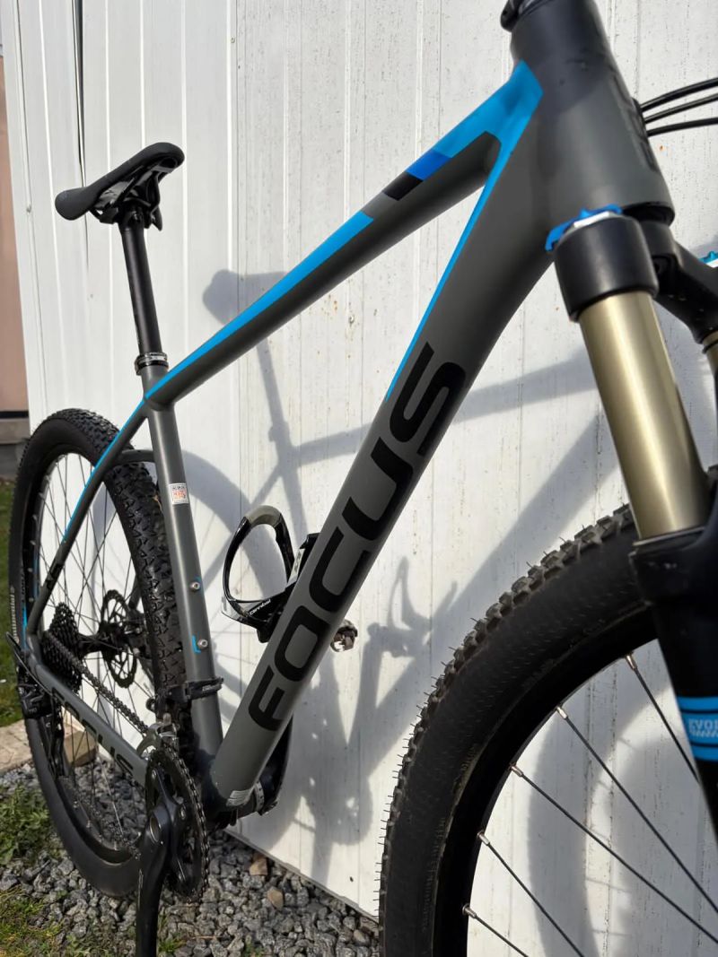 Focus 29 Black Forest