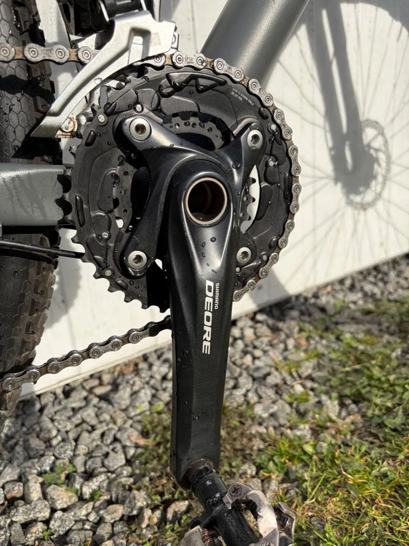 Focus 29 Black Forest