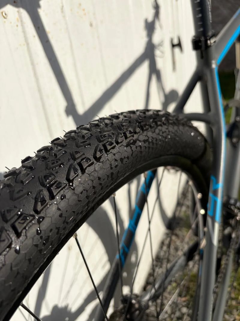 Focus 29 Black Forest