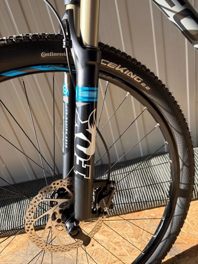 Focus 29 Black Forest