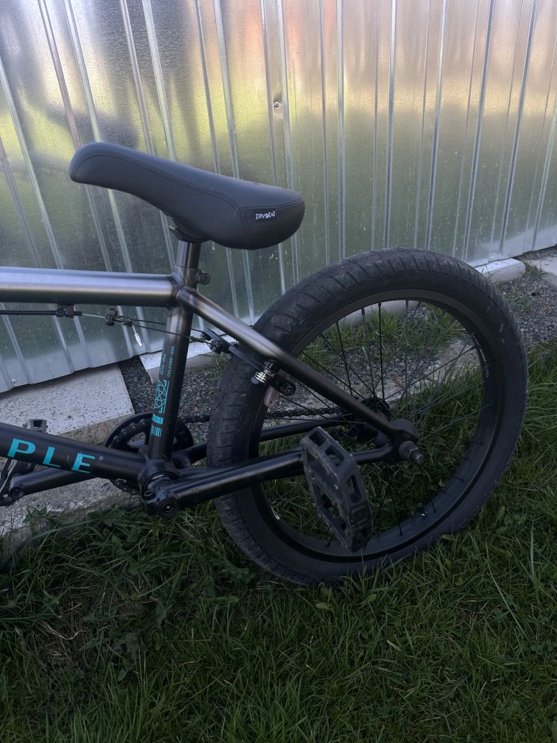 WE THE PEOPLE JUSTICE 20.75"