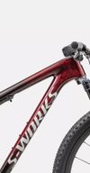 Specialized Epic S-WORKS World cup