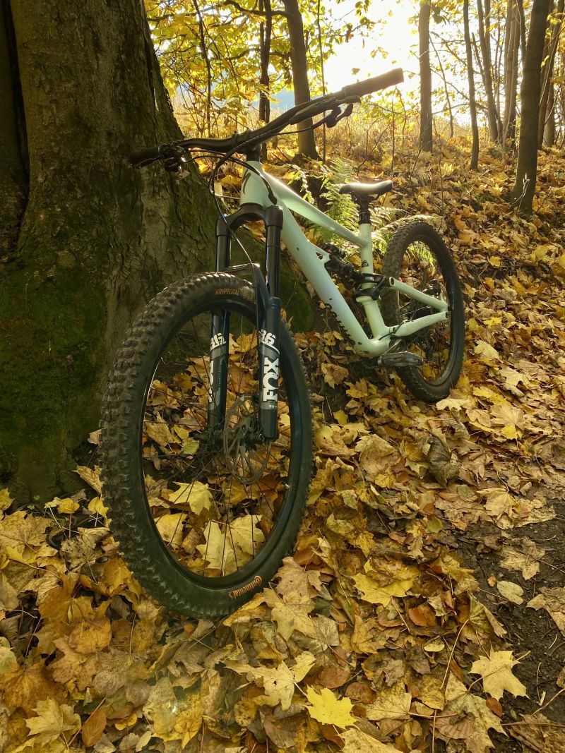 Specialized Status 160 2022